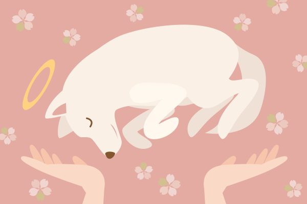 火葬される犬。周囲に桜の装飾がある