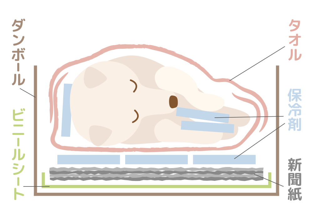 ご遺体を安置する際のお勧めの配置。下から順にダンボール、ビニールシート、新聞紙、保冷剤、タオル、ご遺体。