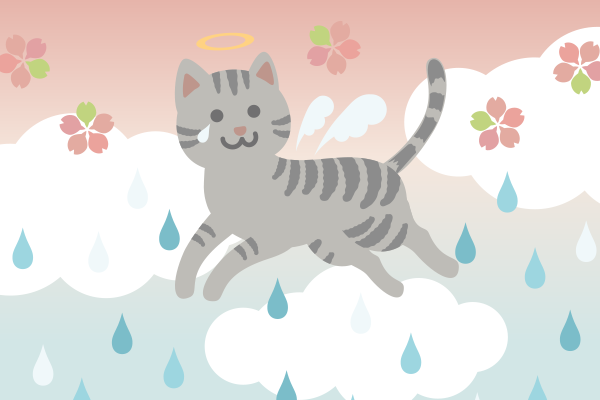 雨雲の上を駆けるように天に上る猫の天使のイラスト